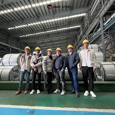 Välkommen indiska kunder att besöka vår fabrik